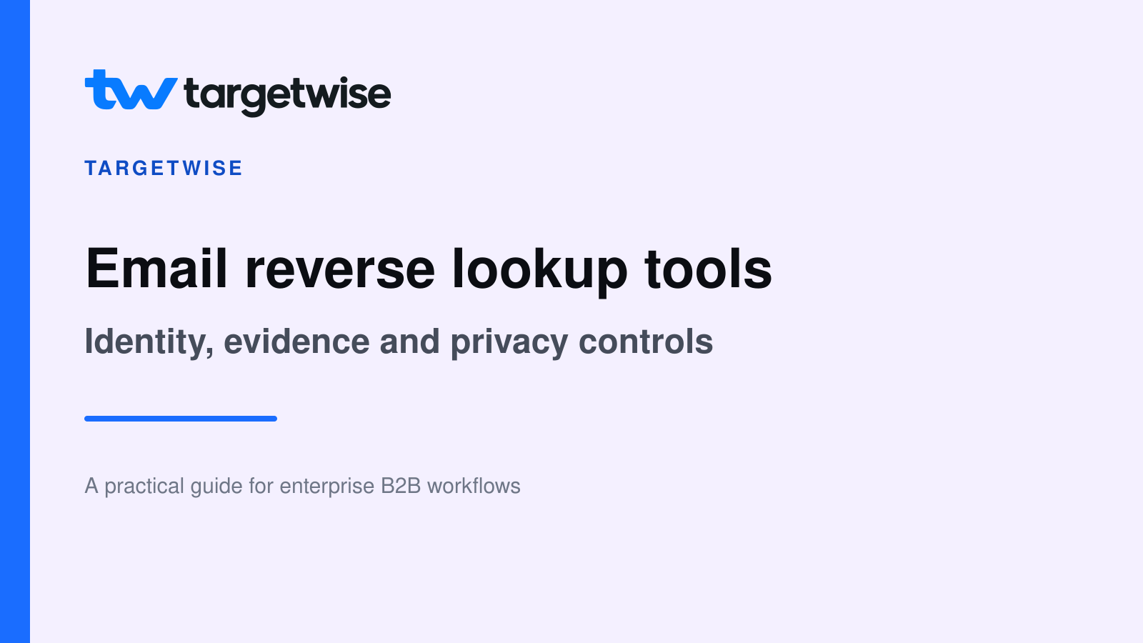 TargetWise logo and company name on a pale lavender cover titled Email reverse lookup tools: Identity, evidence and privacy controls.