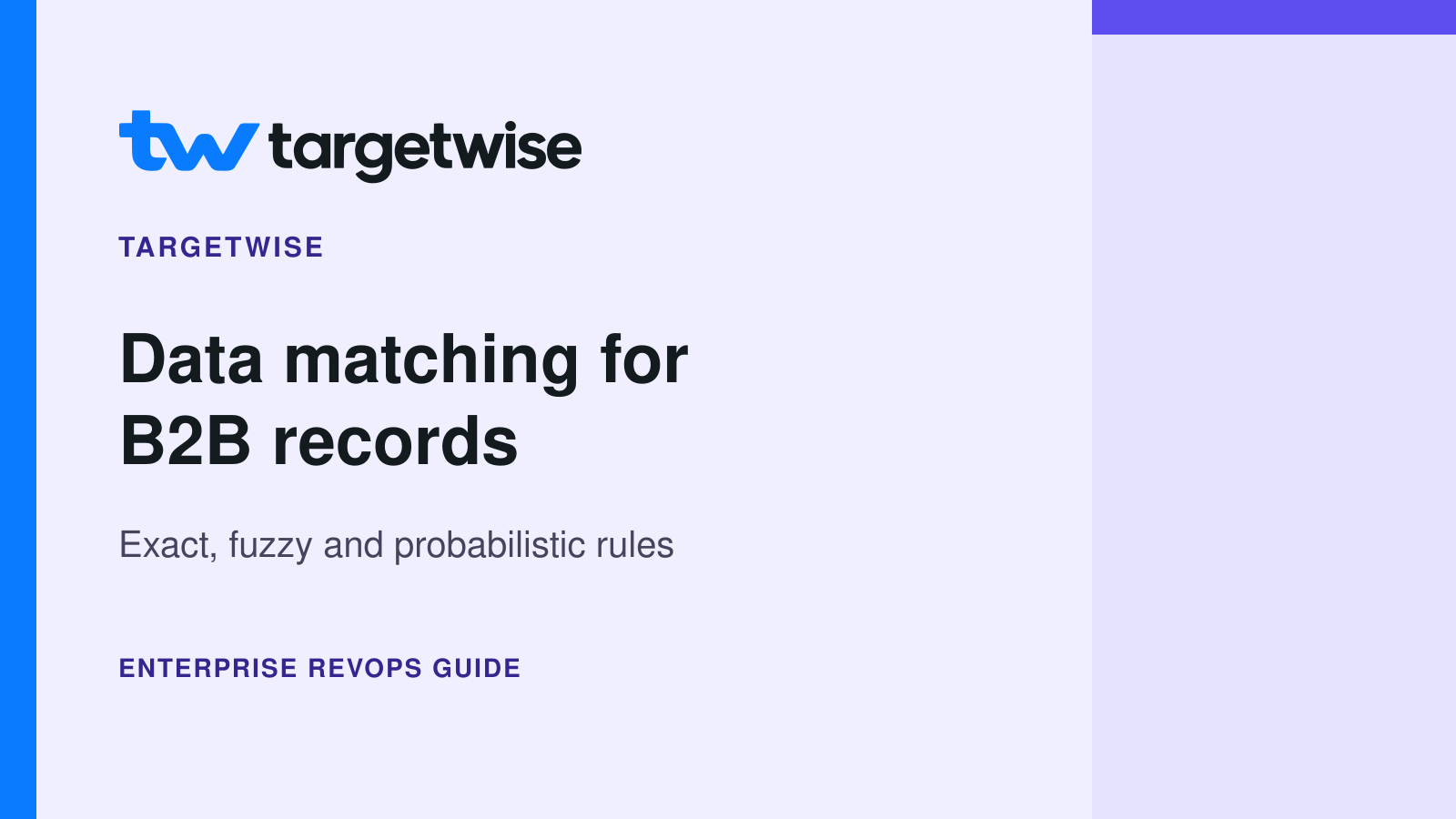 TargetWise logo and company name above Data matching for B2B records: Exact, fuzzy and probabilistic rules, on a clean lavender cover.