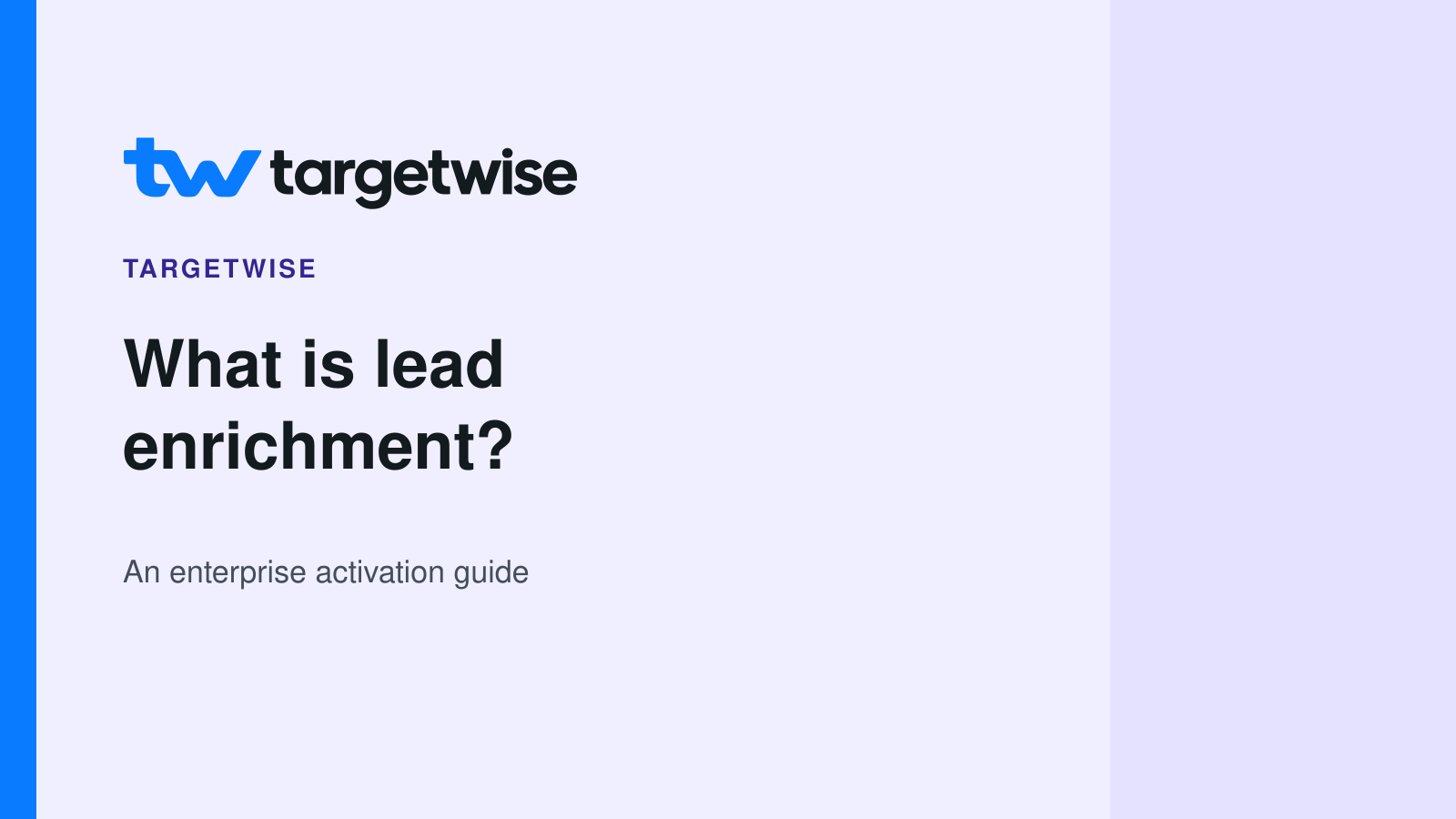 TargetWise logo and What is lead enrichment title on a flat lavender cover.